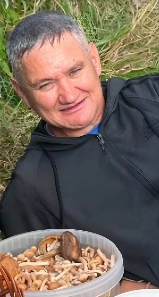 Опята