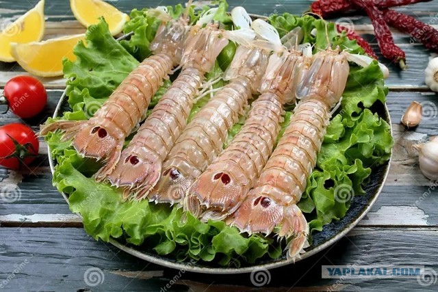 Кулинарная общалка