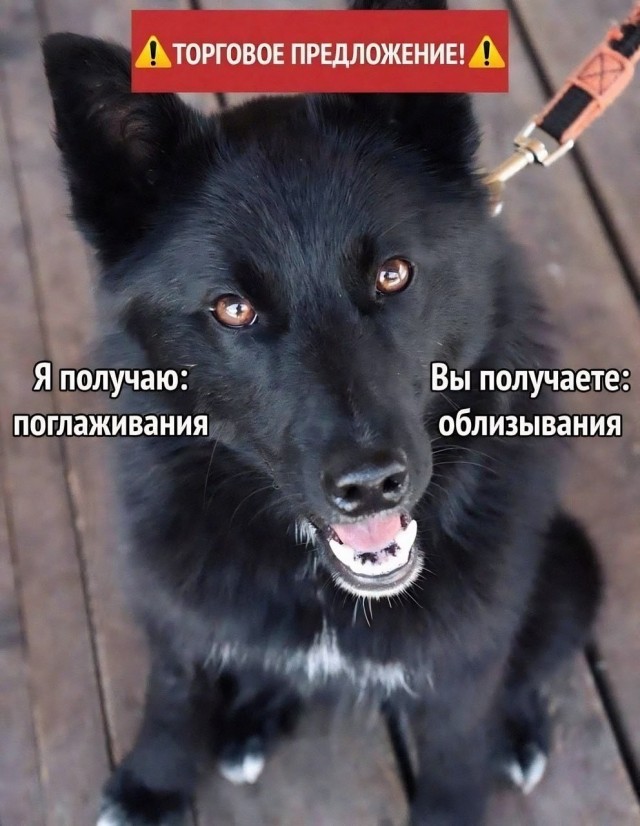 Так себе картинки 12.05.24