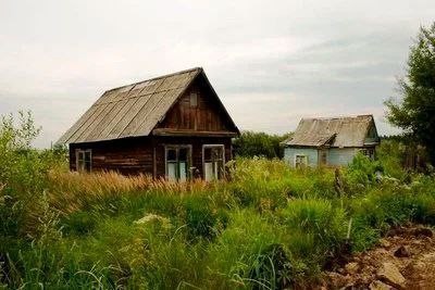 У садоводов будут изымать участки, если они не пользуются ими более трëх лет