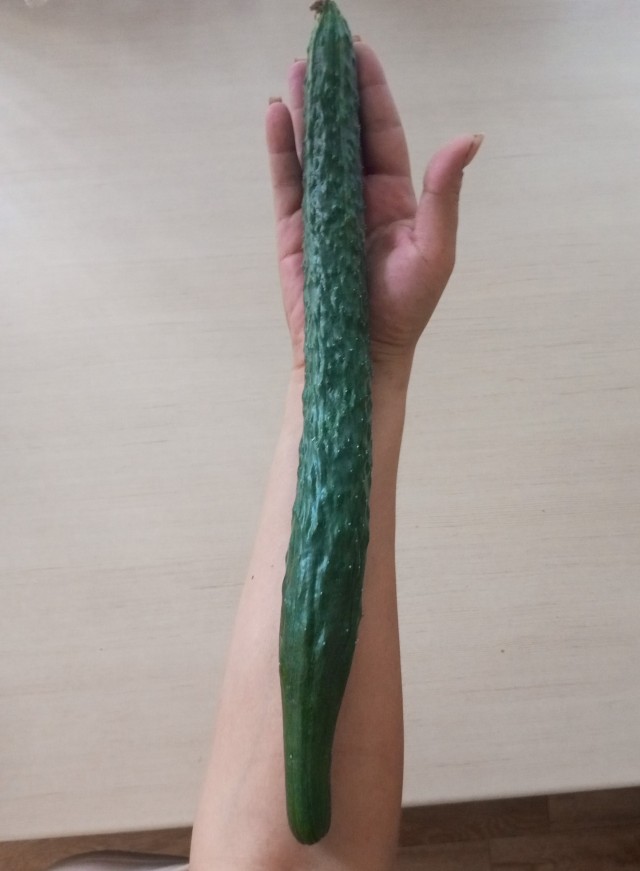 А у вас какой урожай?