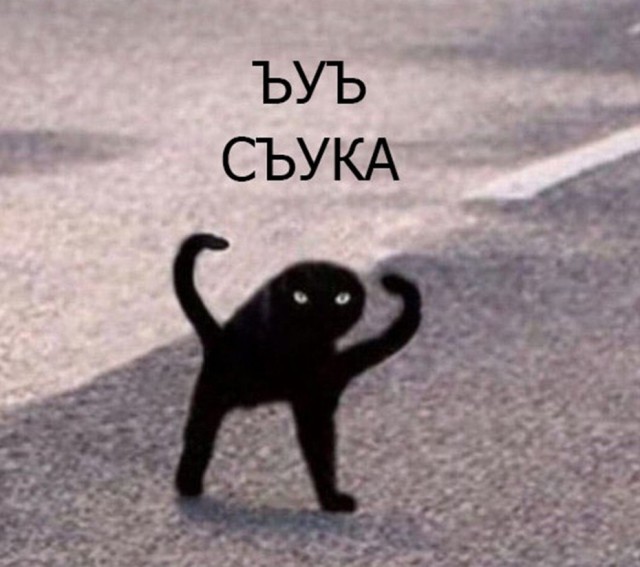 Ска как же бомбит! Слабонервным не читать!