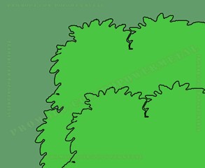 Девушка ищет достойную работу (4 фото)