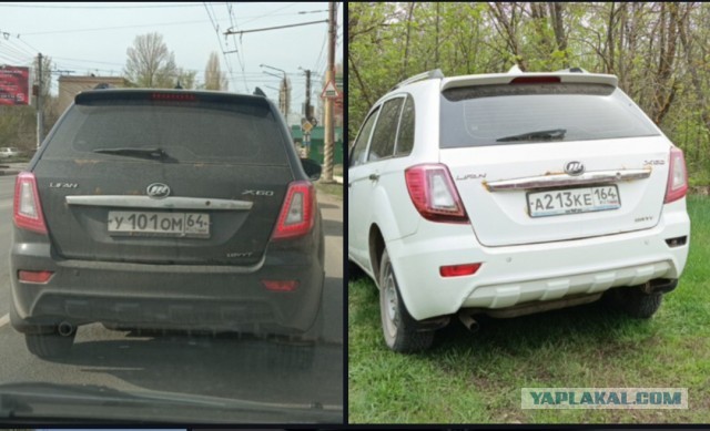 Мой первый год на китайце