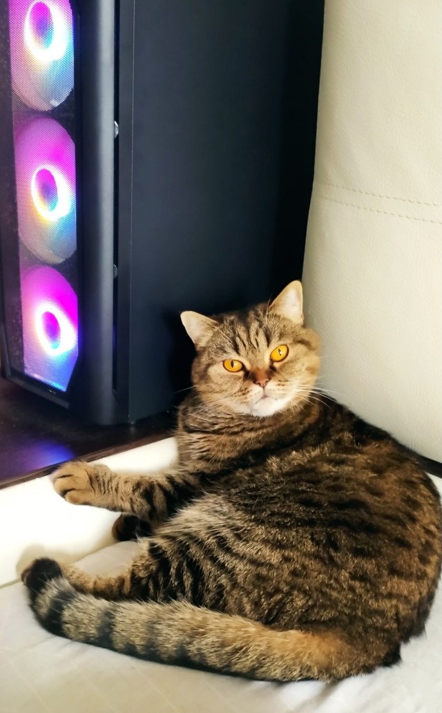 Понимаю, что не вторник