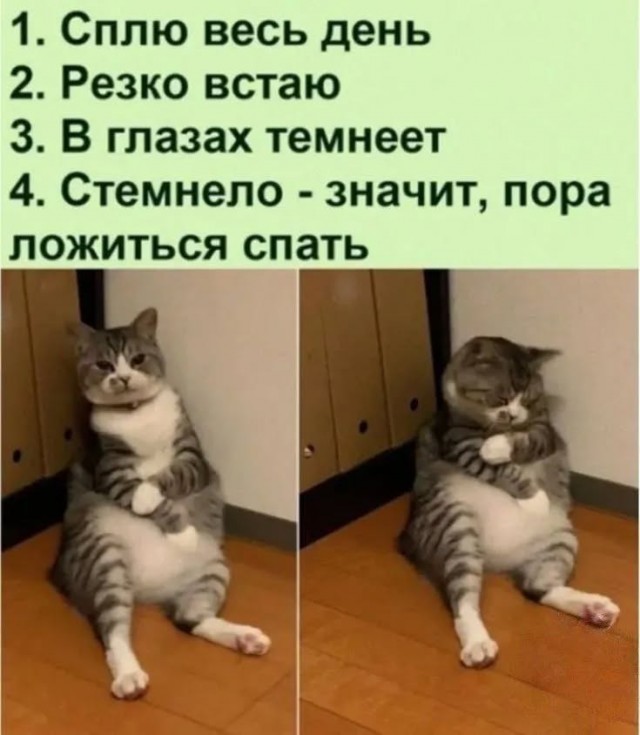 Завалялось тут случайно немного забавных картинок