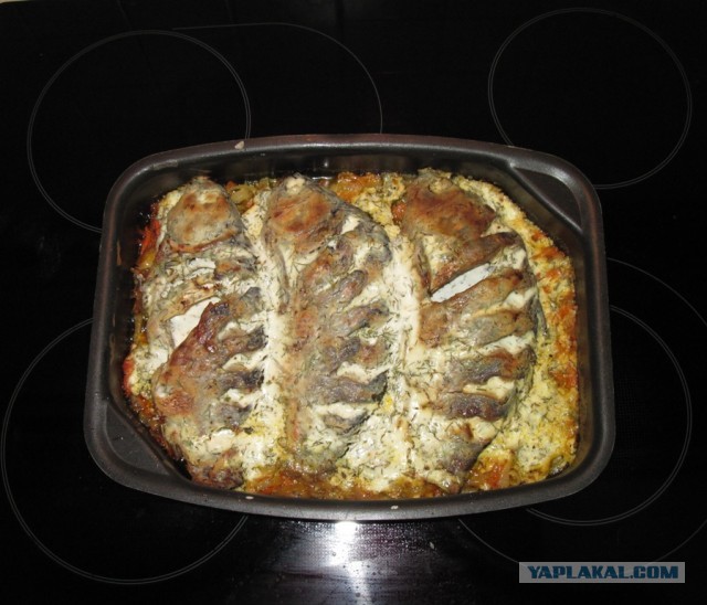 Рыбалка в ближайшем подмосковье