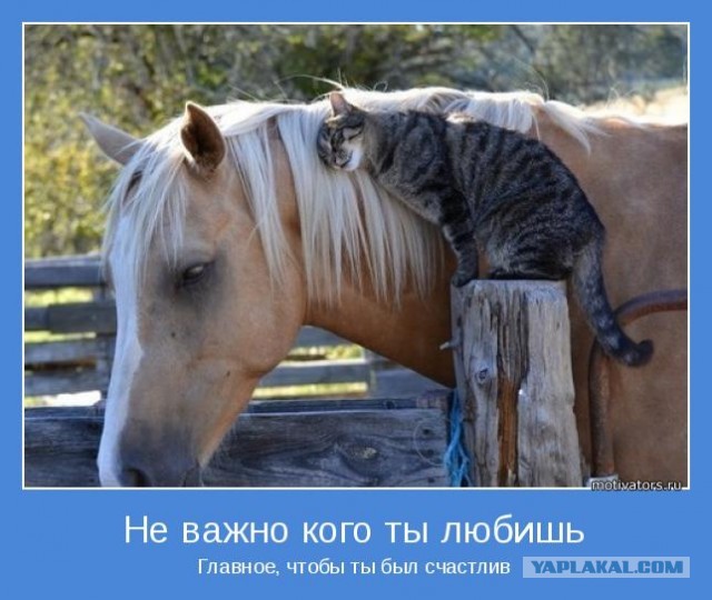 Больше позитива, друзья!