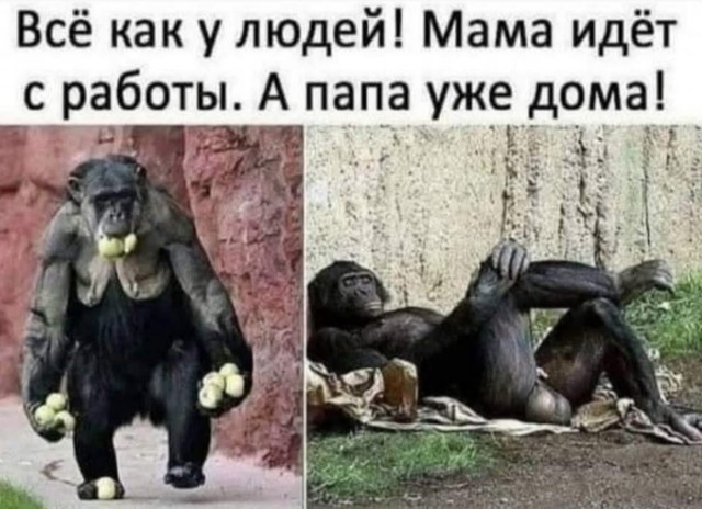 Завалялось тут случайно немного забавных картинок