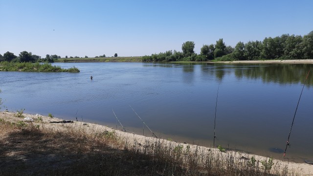 Алаколь. Всё включено отдыхать хорошо, а дикарями лучше
