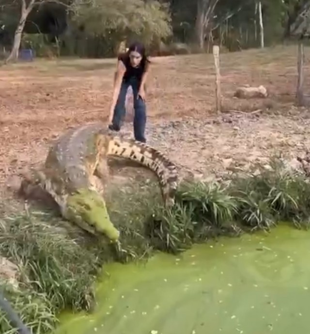 Испаноязычная прелесть.