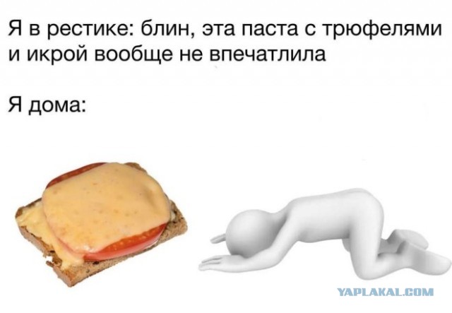Веселые картинки в пятницу (15.08)