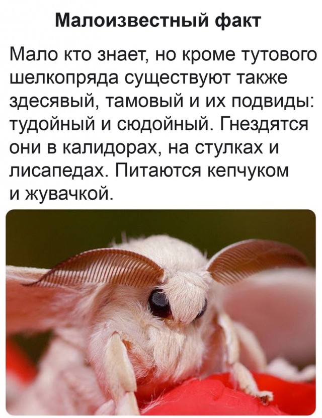 Сегодня праздник, грамотеи ЯПа поздравляю вас.