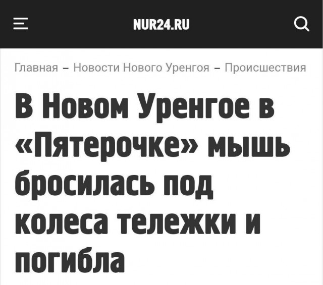 Веселое настроение в картинках (21.10.2025)