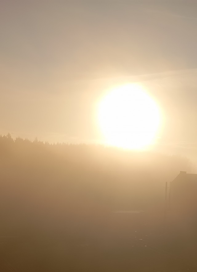 Несколько фоток последних дней.