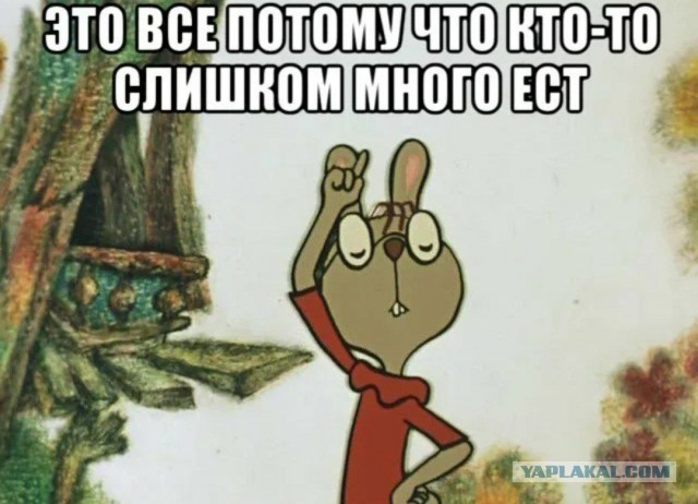 Тимофей зажрался