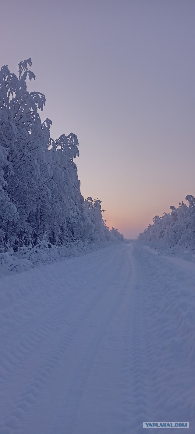 Сказочная дорога.