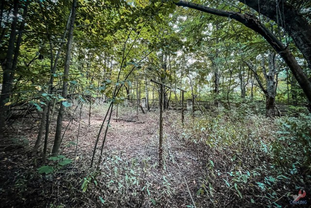 Детство, украденное мирным атомом. Заброшенный с 1986 года детский сад в Припяти