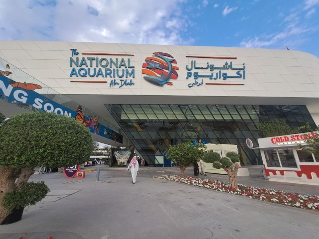 Дубайск в декабре