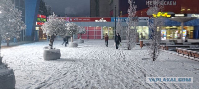 Торопыги. Ялта. Сегодня.
