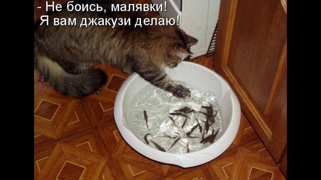 Сбросил клеймо⁠
