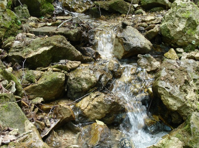 Старый водозабор