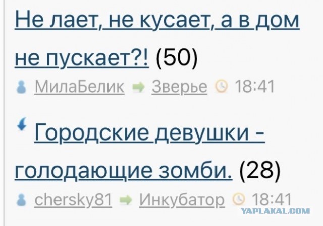 Не лает, не кусает, а в дом не пускает?!