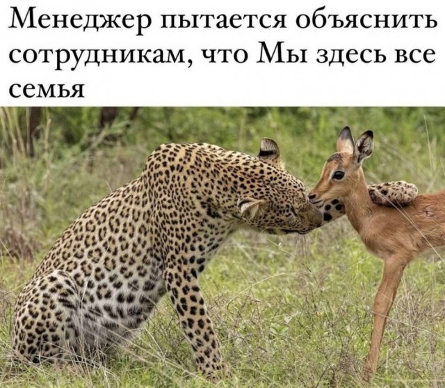 Прикольные и просто красивые картинки 15.05.2026