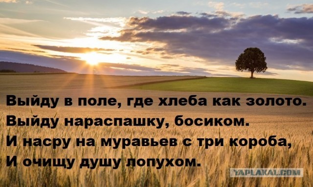 Психомемы-4