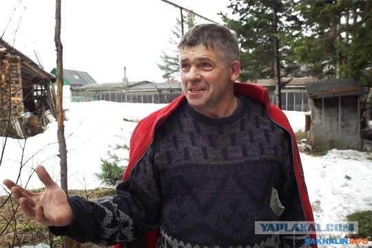 Он посадил 210 тысяч кедров. А ему сказали: «Это нарушение закона»