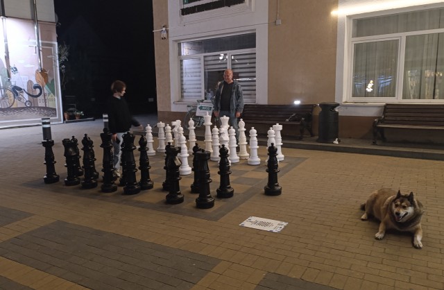 В одном из обычных московских дворов дети разгромили инсталляцию в виде шахматной доски
