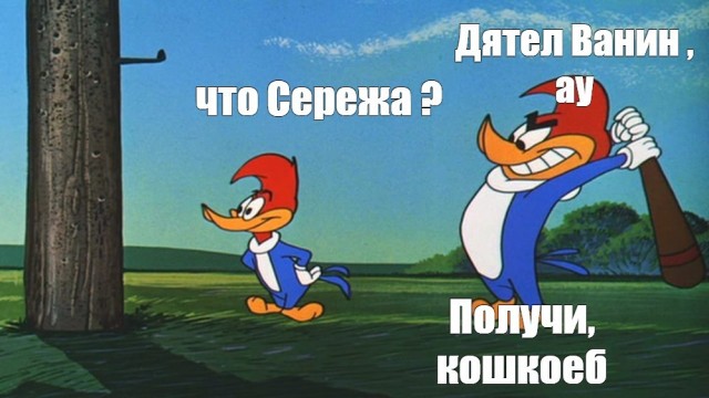 Почему кошка лучше жены