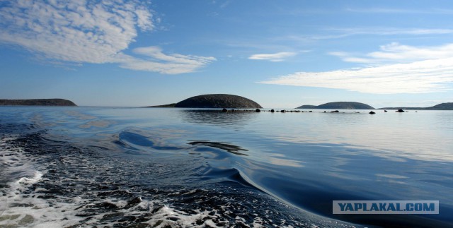 Кузова/Белое море/Гиперборея