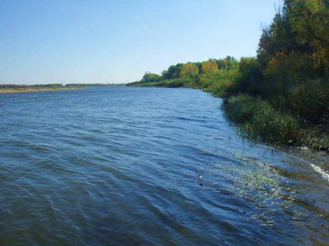 Рыбалка на Ахтубе. 2012. Первый опыт.