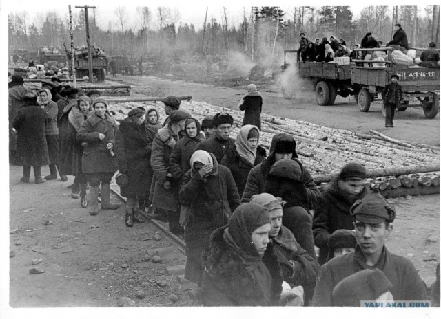 Блокадный Ленинград 1943 год