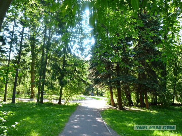 Деревенская Америка