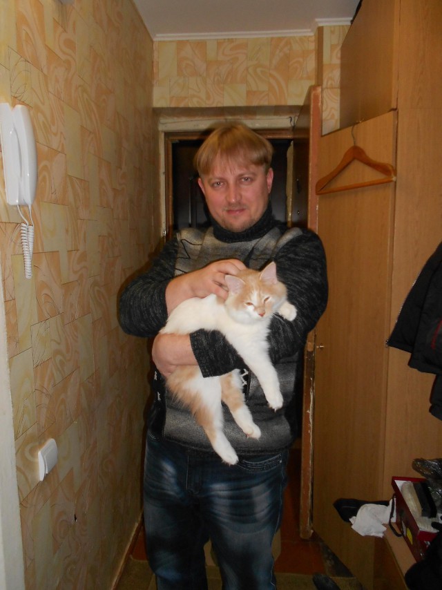 Курильская котяра Соня