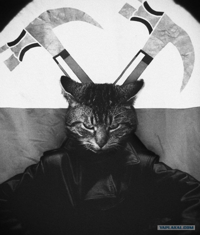 Звери - люди