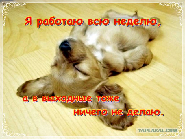 Чёрт, чёрт, чёрт!