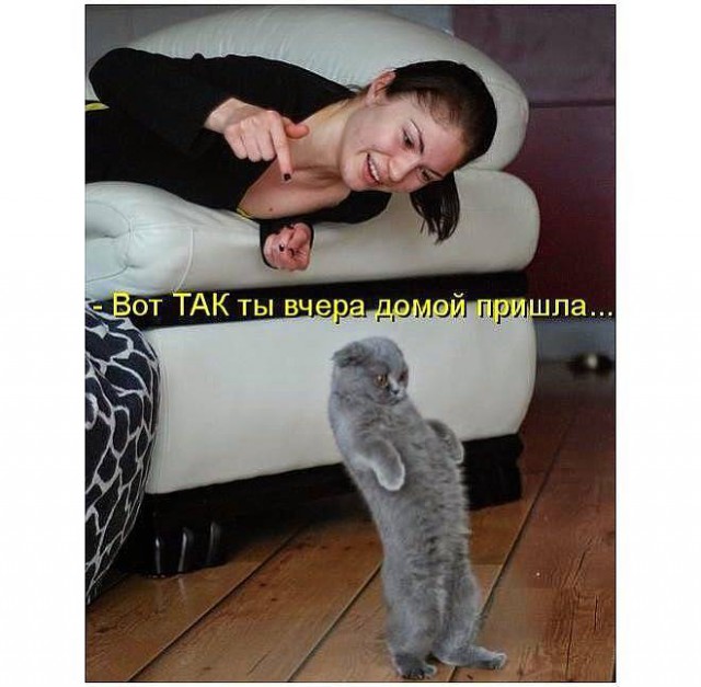 Утро первого января