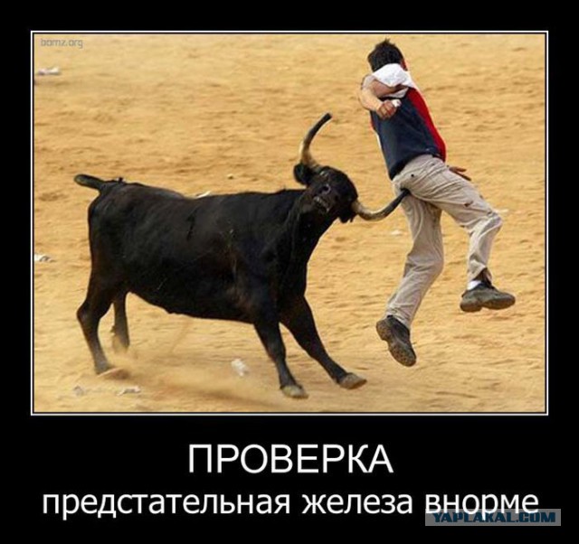 Веселые картинки
