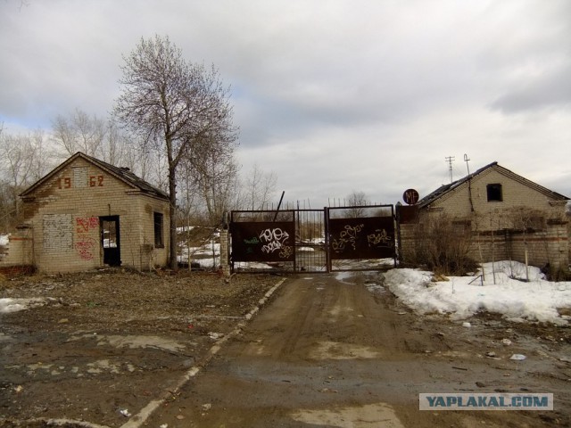 Постапокалипсис. Картины художника
