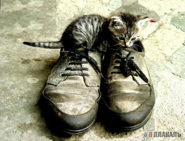 Уже да :) Ужо пятнецца...