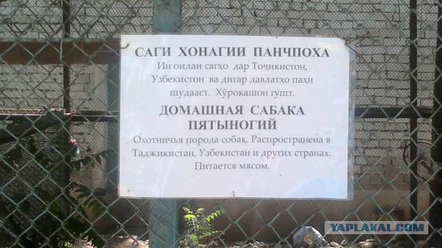 Веселые картинки ч.2