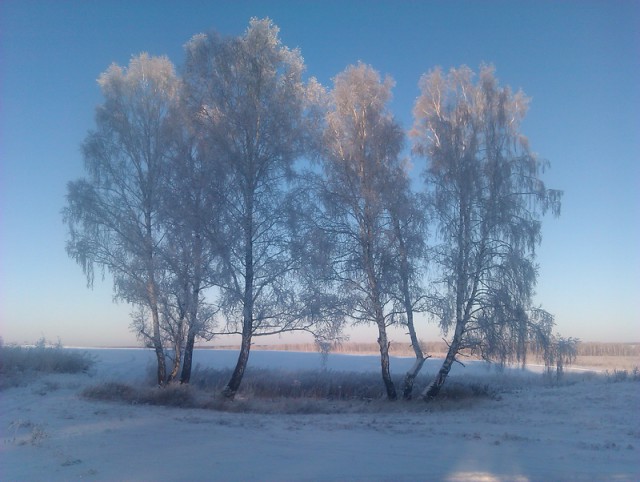 Подборка фотографий, на которых нет ничего лишнего