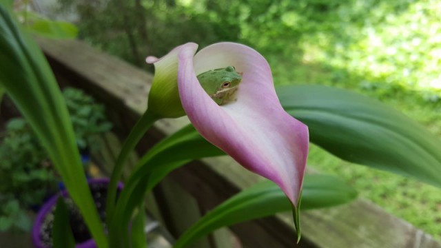 Подборка интересных и веселых фото