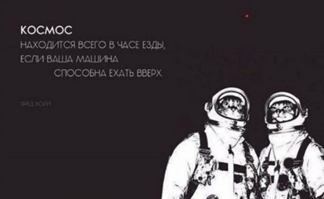 Подборка приколов