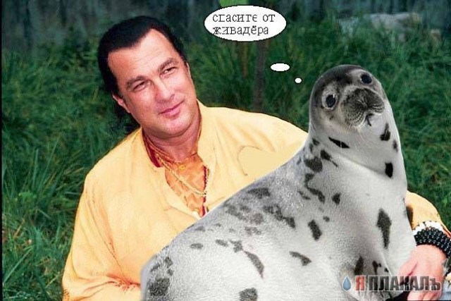 Стивен Сигал