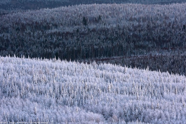 Пермь и Пермский край в моих фотографиях. Продолжение