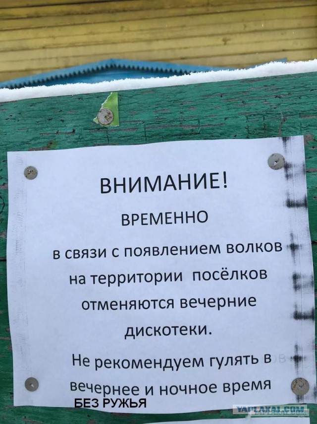 Вот так, ребята..